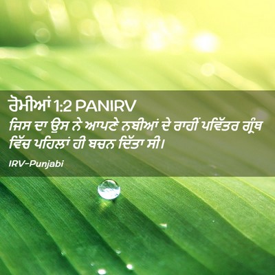 Picture 02 - ਰੋਮੀਆਂ 1:2 PANIRV - ਜਿਸ ਦਾ ਉਸ ਨੇ ਆਪਣੇ - Bible Verse Picture