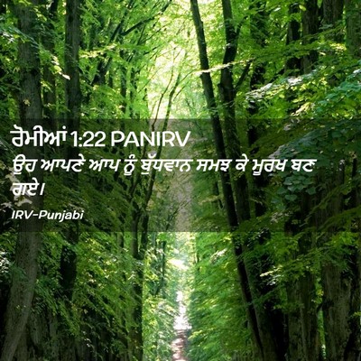 Picture 02 - ਰੋਮੀਆਂ 1:22 PANIRV - ਉਹ ਆਪਣੇ ਆਪ ਨੂੰ - Bible Verse Picture