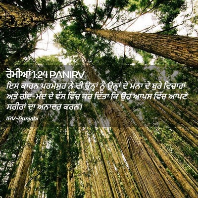 Picture 02 - ਰੋਮੀਆਂ 1:24 PANIRV - ਇਸ ਕਾਰਨ ਪਰਮੇਸ਼ੁਰ - Bible Verse Picture