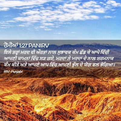 Picture 02 - ਰੋਮੀਆਂ 1:27 PANIRV - ਇਸੇ ਤਰ੍ਹਾਂ ਮਰਦ ਵੀ - Bible Verse Picture