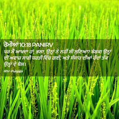 Picture 02 - ਰੋਮੀਆਂ 10:18 PANIRV - ਪਰ ਮੈਂ ਆਖਦਾ ਹਾਂ, - Bible Verse Picture