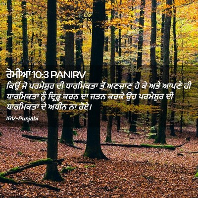 Picture 02 - ਰੋਮੀਆਂ 10:3 PANIRV - ਕਿਉਂ ਜੋ ਪਰਮੇਸ਼ੁਰ - Bible Verse Picture