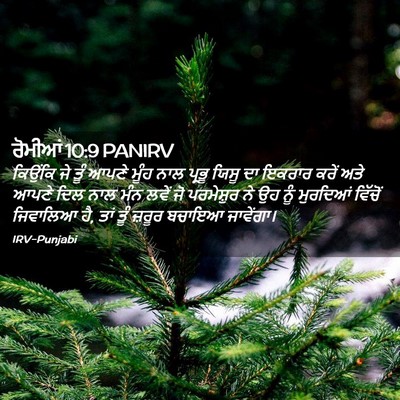 Picture 02 - ਰੋਮੀਆਂ 10:9 PANIRV - ਕਿਉਂਕਿ ਜੇ ਤੂੰ ਆਪਣੇ - Bible Verse Picture