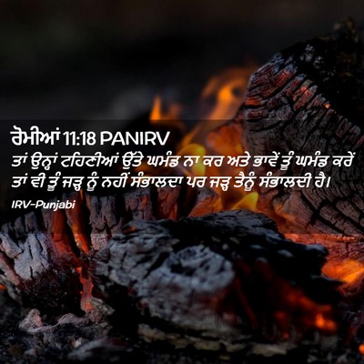 Picture 02 - ਰੋਮੀਆਂ 11:18 PANIRV - ਤਾਂ ਉਨ੍ਹਾਂ - Bible Verse Picture