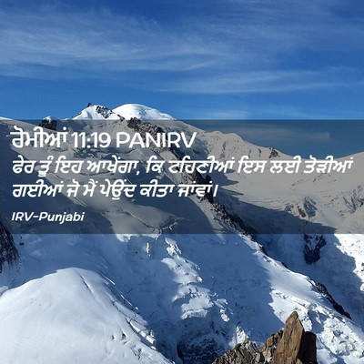 Picture 02 - ਰੋਮੀਆਂ 11:19 PANIRV - ਫੇਰ ਤੂੰ ਇਹ ਆਖੇਂਗਾ, - Bible Verse Picture