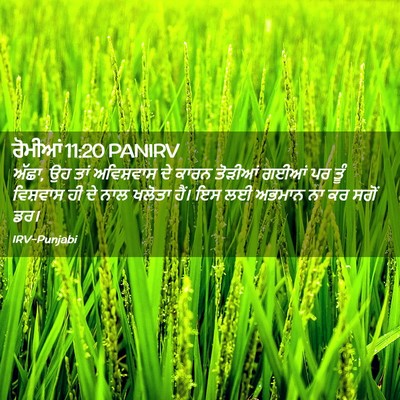 Picture 02 - ਰੋਮੀਆਂ 11:20 PANIRV - ਅੱਛਾ, ਉਹ ਤਾਂ - Bible Verse Picture