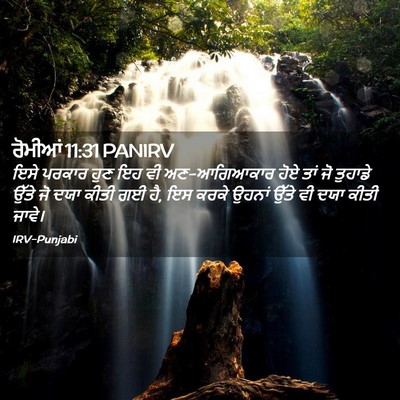 Picture 02 - ਰੋਮੀਆਂ 11:31 PANIRV - ਇਸੇ ਪਰਕਾਰ ਹੁਣ ਇਹ ਵੀ - Bible Verse Picture