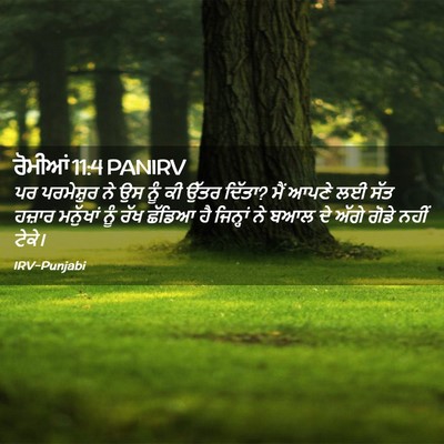 Picture 02 - ਰੋਮੀਆਂ 11:4 PANIRV - ਪਰ ਪਰਮੇਸ਼ੁਰ ਨੇ ਉਸ - Bible Verse Picture