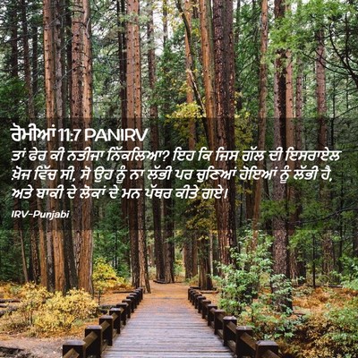 Picture 02 - ਰੋਮੀਆਂ 11:7 PANIRV - ਤਾਂ ਫੇਰ ਕੀ ਨਤੀਜਾ - Bible Verse Picture