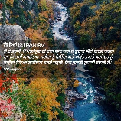 Picture 02 - ਰੋਮੀਆਂ 12:1 PANIRV - ਸੋ ਹੇ ਭਰਾਵੋ, ਮੈਂ - Bible Verse Picture