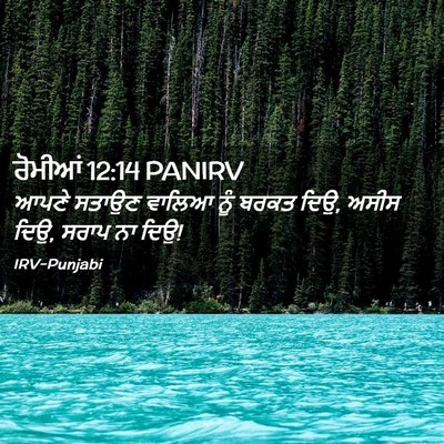 Picture 02 - ਰੋਮੀਆਂ 12:14 PANIRV - ਆਪਣੇ ਸਤਾਉਣ ਵਾਲਿਆ - Bible Verse Picture