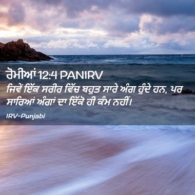 Picture 02 - ਰੋਮੀਆਂ 12:4 PANIRV - ਜਿਵੇਂ ਇੱਕ ਸਰੀਰ - Bible Verse Picture