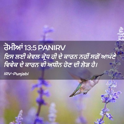 Picture 02 - ਰੋਮੀਆਂ 13:5 PANIRV - ਇਸ ਲਈ ਕੇਵਲ ਕ੍ਰੋਧ ਹੀ - Bible Verse Picture