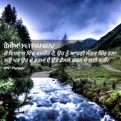 Picture 02 - ਰੋਮੀਆਂ 14:1 PANIRV - ਜੋ ਵਿਸ਼ਵਾਸ ਵਿੱਚ - Bible Verse Picture
