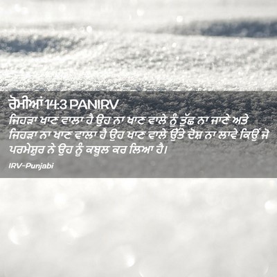 Picture 02 - ਰੋਮੀਆਂ 14:3 PANIRV - ਜਿਹੜਾ ਖਾਣ ਵਾਲਾ ਹੈ - Bible Verse Picture