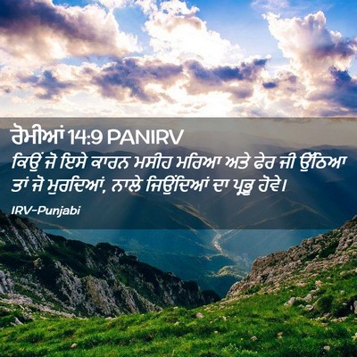 Picture 02 - ਰੋਮੀਆਂ 14:9 PANIRV - ਕਿਉਂ ਜੋ ਇਸੇ ਕਾਰਨ - Bible Verse Picture