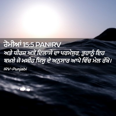 Picture 02 - ਰੋਮੀਆਂ 15:5 PANIRV - ਅਤੇ ਧੀਰਜ ਅਤੇ - Bible Verse Picture