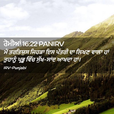 Picture 02 - ਰੋਮੀਆਂ 16:22 PANIRV - ਮੈਂ ਤਰਤਿਯੁਸ ਜਿਹੜਾ - Bible Verse Picture