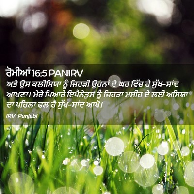 Picture 02 - ਰੋਮੀਆਂ 16:5 PANIRV - ਅਤੇ ਉਸ ਕਲੀਸਿਯਾ ਨੂੰ - Bible Verse Picture