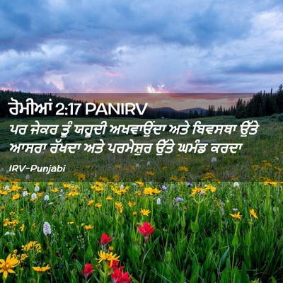 Picture 02 - ਰੋਮੀਆਂ 2:17 PANIRV - ਪਰ ਜੇਕਰ ਤੂੰ ਯਹੂਦੀ - Bible Verse Picture