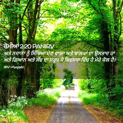 Picture 02 - ਰੋਮੀਆਂ 2:20 PANIRV - ਅਤੇ ਨਦਾਨਾਂ ਨੂੰ - Bible Verse Picture