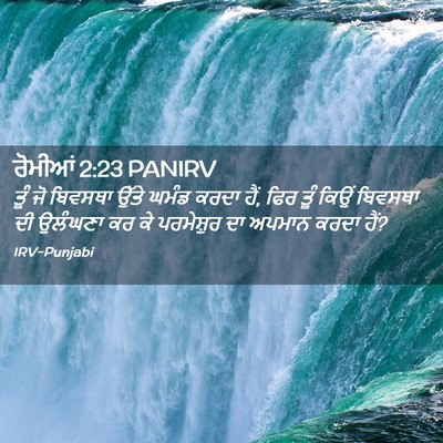 Picture 02 - ਰੋਮੀਆਂ 2:23 PANIRV - ਤੂੰ ਜੋ ਬਿਵਸਥਾ ਉੱਤੇ - Bible Verse Picture