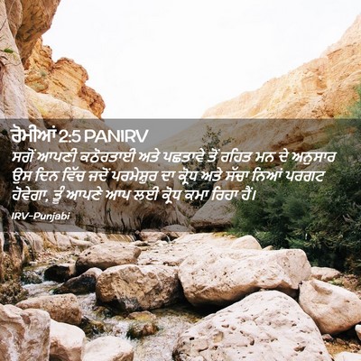 Picture 02 - ਰੋਮੀਆਂ 2:5 PANIRV - ਸਗੋਂ ਆਪਣੀ ਕਠੋਰਤਾਈ - Bible Verse Picture