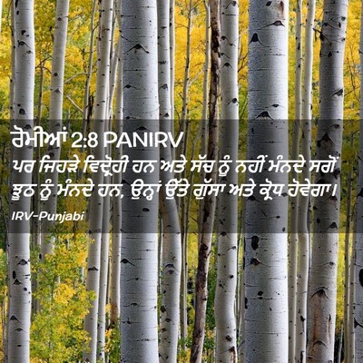 Picture 02 - ਰੋਮੀਆਂ 2:8 PANIRV - ਪਰ ਜਿਹੜੇ ਵਿਦ੍ਰੋਹੀ - Bible Verse Picture