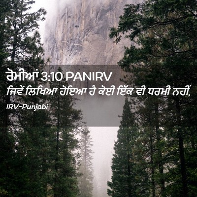 Picture 02 - ਰੋਮੀਆਂ 3:10 PANIRV - ਜਿਵੇਂ ਲਿਖਿਆ ਹੋਇਆ - Bible Verse Picture