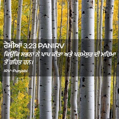 Picture 02 - ਰੋਮੀਆਂ 3:23 PANIRV - ਕਿਉਂਕਿ ਸਭਨਾਂ ਨੇ - Bible Verse Picture