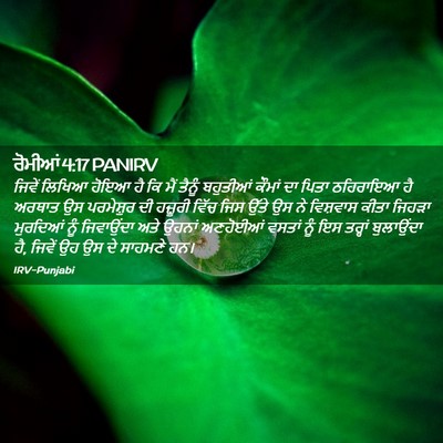 Picture 02 - ਰੋਮੀਆਂ 4:17 PANIRV - ਜਿਵੇਂ ਲਿਖਿਆ ਹੋਇਆ - Bible Verse Picture