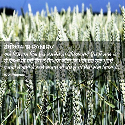 Picture 02 - ਰੋਮੀਆਂ 4:19 PANIRV - ਅਤੇ ਵਿਸ਼ਵਾਸ ਵਿੱਚ - Bible Verse Picture