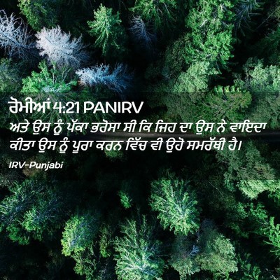 Picture 02 - ਰੋਮੀਆਂ 4:21 PANIRV - ਅਤੇ ਉਸ ਨੂੰ ਪੱਕਾ - Bible Verse Picture