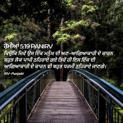 Picture 02 - ਰੋਮੀਆਂ 5:19 PANIRV - ਕਿਉਂਕਿ ਜਿਵੇਂ ਉਸ - Bible Verse Picture