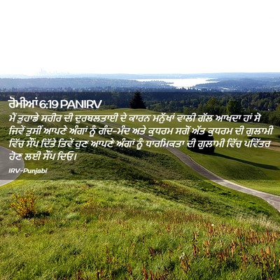 Picture 02 - ਰੋਮੀਆਂ 6:19 PANIRV - ਮੈਂ ਤੁਹਾਡੇ ਸਰੀਰ ਦੀ - Bible Verse Picture