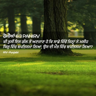 Picture 02 - ਰੋਮੀਆਂ 6:3 PANIRV - ਕੀ ਤੁਸੀਂ ਇਸ ਗੱਲ ਤੋਂ - Bible Verse Picture
