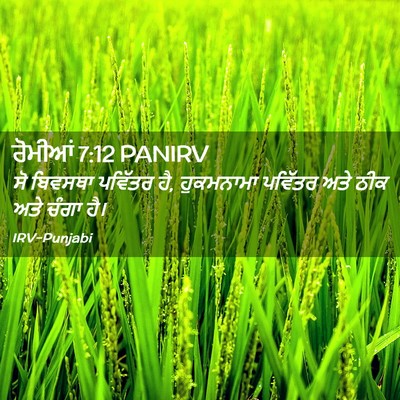 Picture 02 - ਰੋਮੀਆਂ 7:12 PANIRV - ਸੋ ਬਿਵਸਥਾ ਪਵਿੱਤਰ - Bible Verse Picture