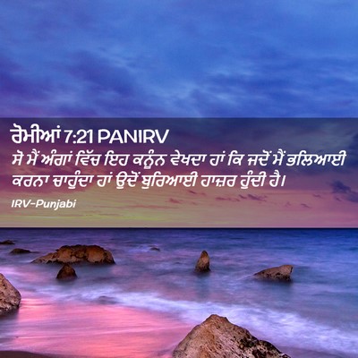 Picture 02 - ਰੋਮੀਆਂ 7:21 PANIRV - ਸੋ ਮੈਂ ਅੰਗਾਂ ਵਿੱਚ - Bible Verse Picture