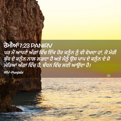 Picture 02 - ਰੋਮੀਆਂ 7:23 PANIRV - ਪਰ ਮੈਂ ਆਪਣੇ ਅੰਗਾਂ - Bible Verse Picture