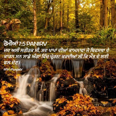 Picture 02 - ਰੋਮੀਆਂ 7:5 PANIRV - ਜਦ ਅਸੀਂ ਸਰੀਰਕ ਸੀ, - Bible Verse Picture