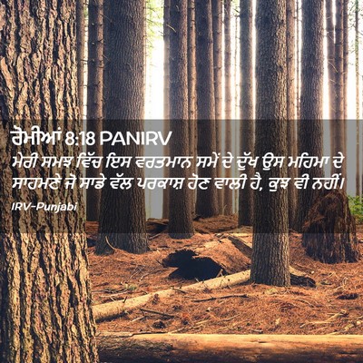 Picture 02 - ਰੋਮੀਆਂ 8:18 PANIRV - ਮੇਰੀ ਸਮਝ ਵਿੱਚ ਇਸ - Bible Verse Picture