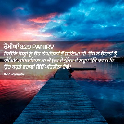 Picture 02 - ਰੋਮੀਆਂ 8:29 PANIRV - ਕਿਉਂਕਿ ਜਿਨ੍ਹਾਂ - Bible Verse Picture