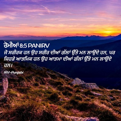 Picture 02 - ਰੋਮੀਆਂ 8:5 PANIRV - ਜੋ ਸਰੀਰਕ ਹਨ ਉਹ ਸਰੀਰ - Bible Verse Picture