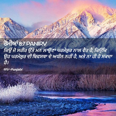 Picture 02 - ਰੋਮੀਆਂ 8:7 PANIRV - ਕਿਉਂ ਜੋ ਸਰੀਰ ਉੱਤੇ - Bible Verse Picture
