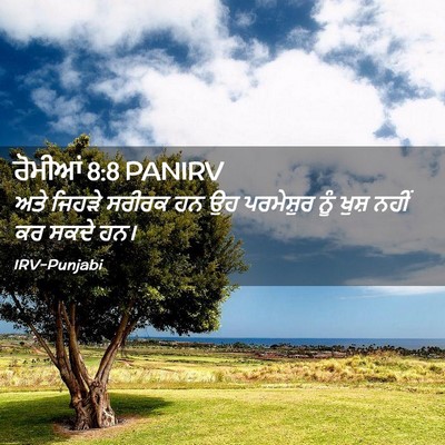 Picture 02 - ਰੋਮੀਆਂ 8:8 PANIRV - ਅਤੇ ਜਿਹੜੇ ਸਰੀਰਕ ਹਨ - Bible Verse Picture
