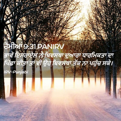 Picture 02 - ਰੋਮੀਆਂ 9:31 PANIRV - ਭਾਵੇਂ ਇਸਰਾਏਲ ਨੇ - Bible Verse Picture