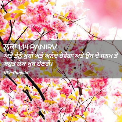 Picture 02 - ਲੂਕਾ 1:14 PANIRV - ਅਤੇ ਤੈਨੂੰ ਖੁਸ਼ੀ - Bible Verse Picture