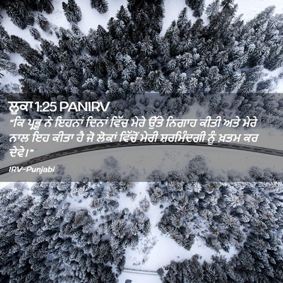 Picture 02 - ਲੂਕਾ 1:25 PANIRV - “ਕਿ ਪ੍ਰਭੂ ਨੇ ਇਹਨਾਂ - Bible Verse Picture