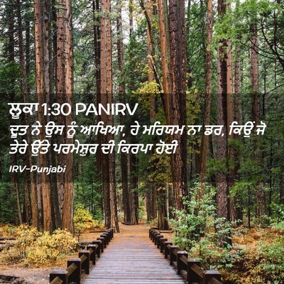 Picture 02 - ਲੂਕਾ 1:30 PANIRV - ਦੂਤ ਨੇ ਉਸ ਨੂੰ ਆਖਿਆ, - Bible Verse Picture