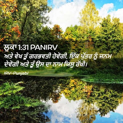 Picture 02 - ਲੂਕਾ 1:31 PANIRV - ਅਤੇ ਵੇਖ ਤੂੰ ਗਰਭਵਤੀ - Bible Verse Picture